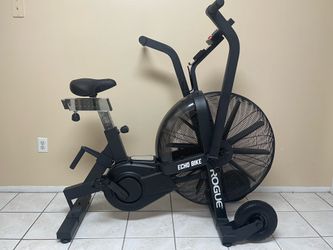 Rogue Echo Bike