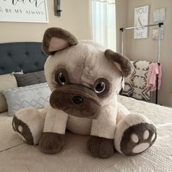 Stuffed Animal 