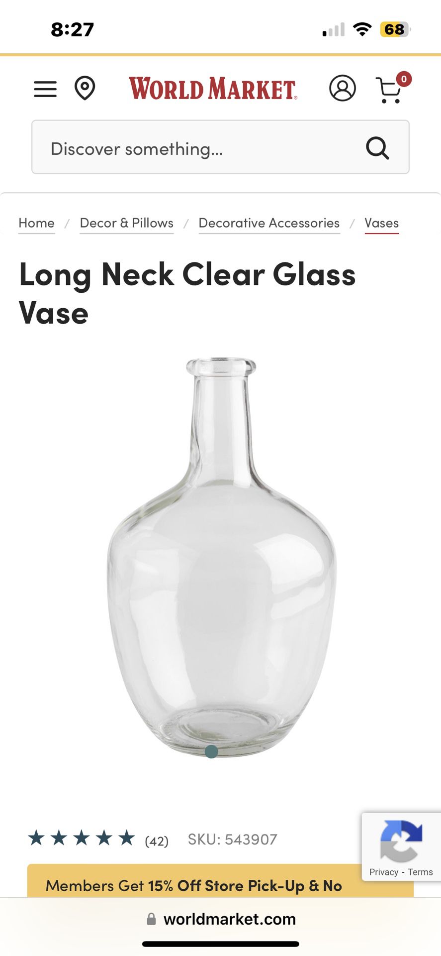 Long Neck Glass Vases