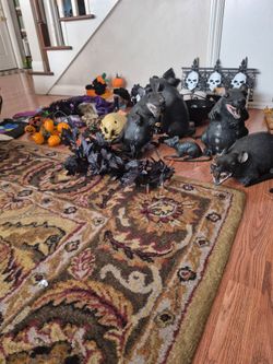 Halloween Stuff