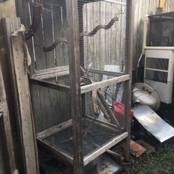 Bird Cage