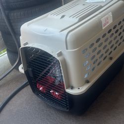 Dog Kennel 
