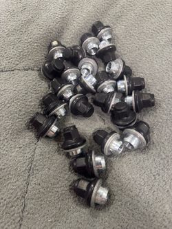 Toyota Lexus black lug nut 14mm x 1.5