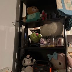 MOVING SALE!!! 5 Shelf Bookcase