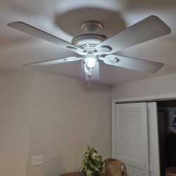 Kitchen ceiling fan