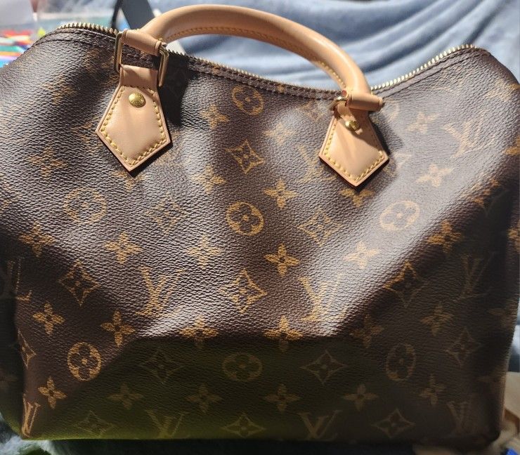 Louis Vuitton Handbag