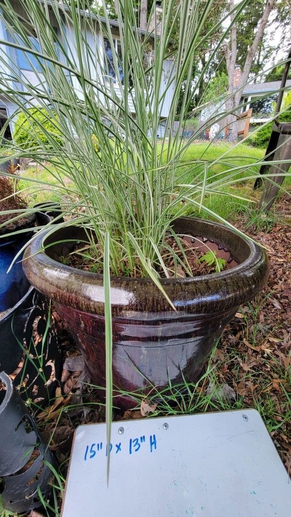 Beautiful, Thick Planter with Character