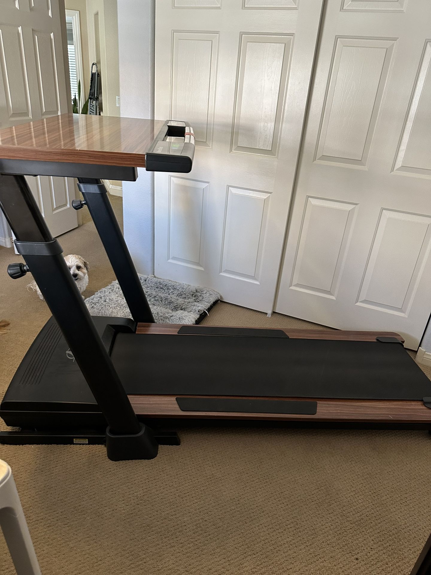Nordictrack Treadmill Desk