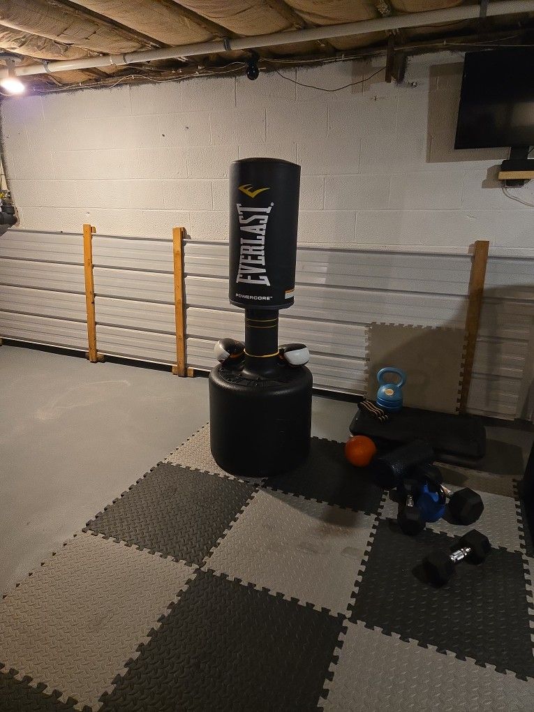 Everlast POWERCORE Punching Bag