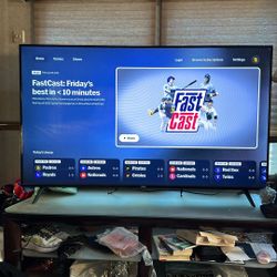 Tv 65 Inch,$200,bike,$80,table, 2 Chair 