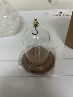Glass Cloche Dome with Wood Base