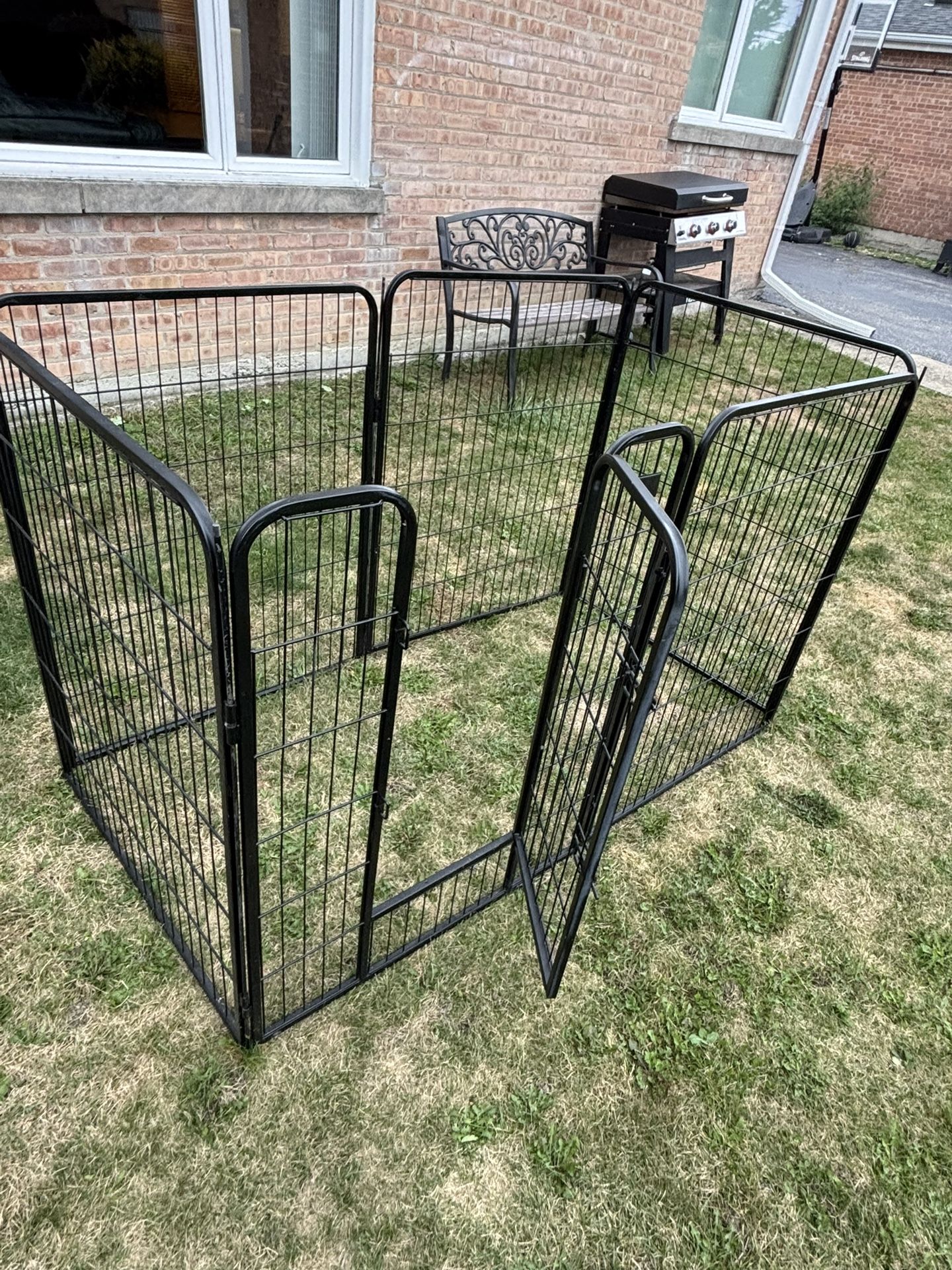 Talk Dog Cage 