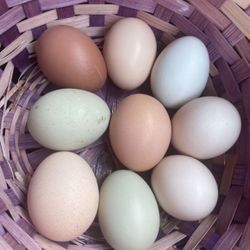 Farm Fresh Eggs
