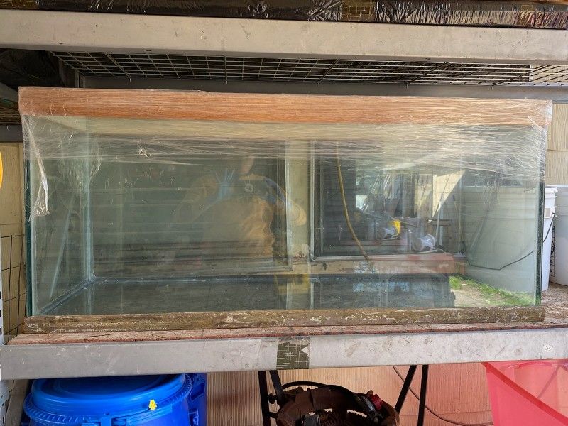 80 Gallons Aquarium