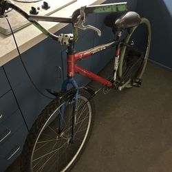 Customized SE Stout 29-inch Single Speed 