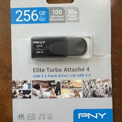 256GB PNY USB 3.2 Flash Drive – $10 Firm