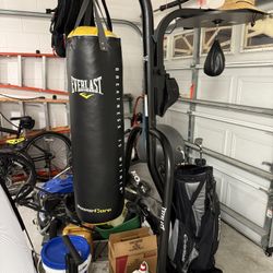 Everlast Punching Bag w Speed Bag
