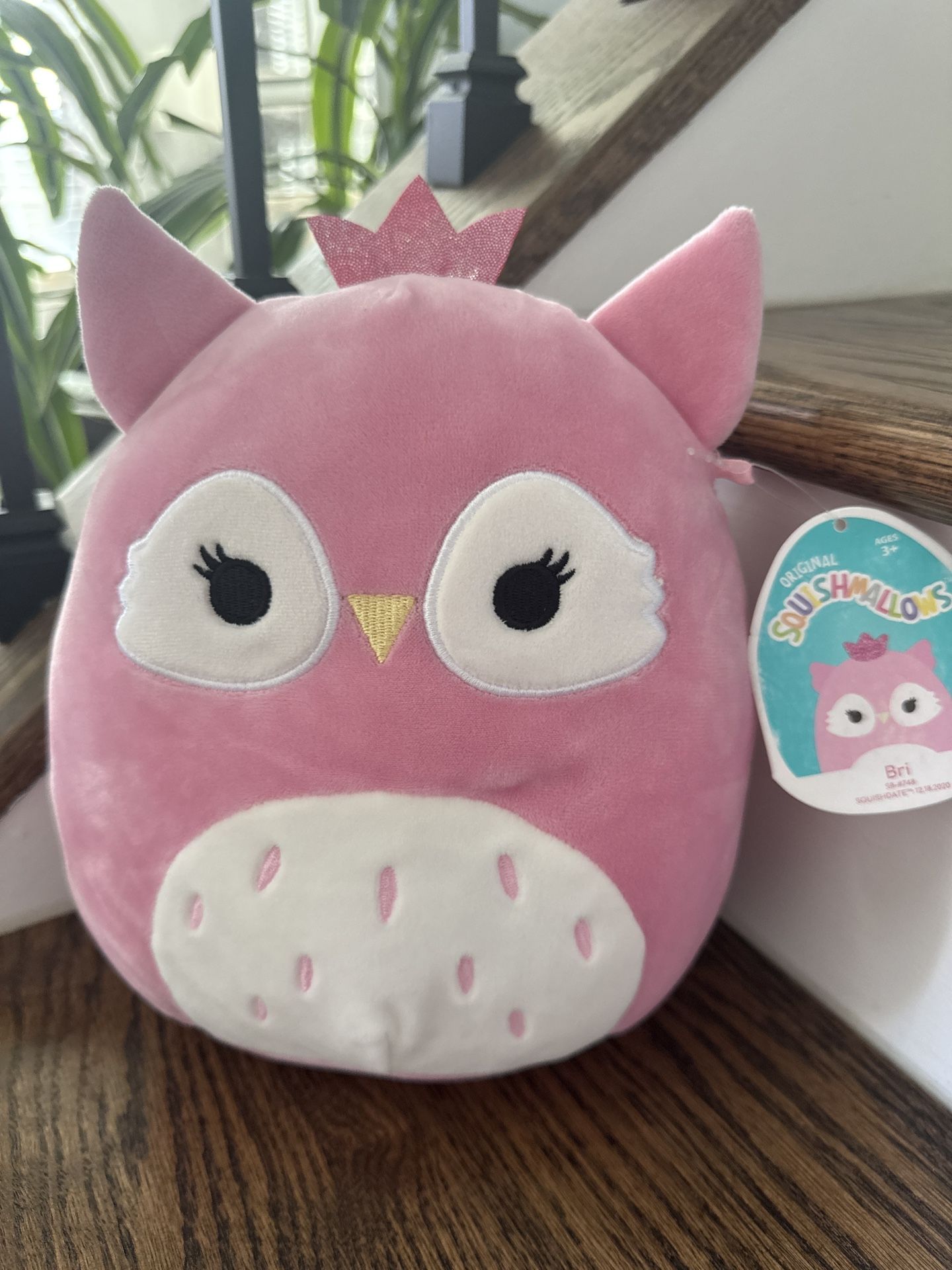 Squishmallow Bri the Owl Plush 8” H