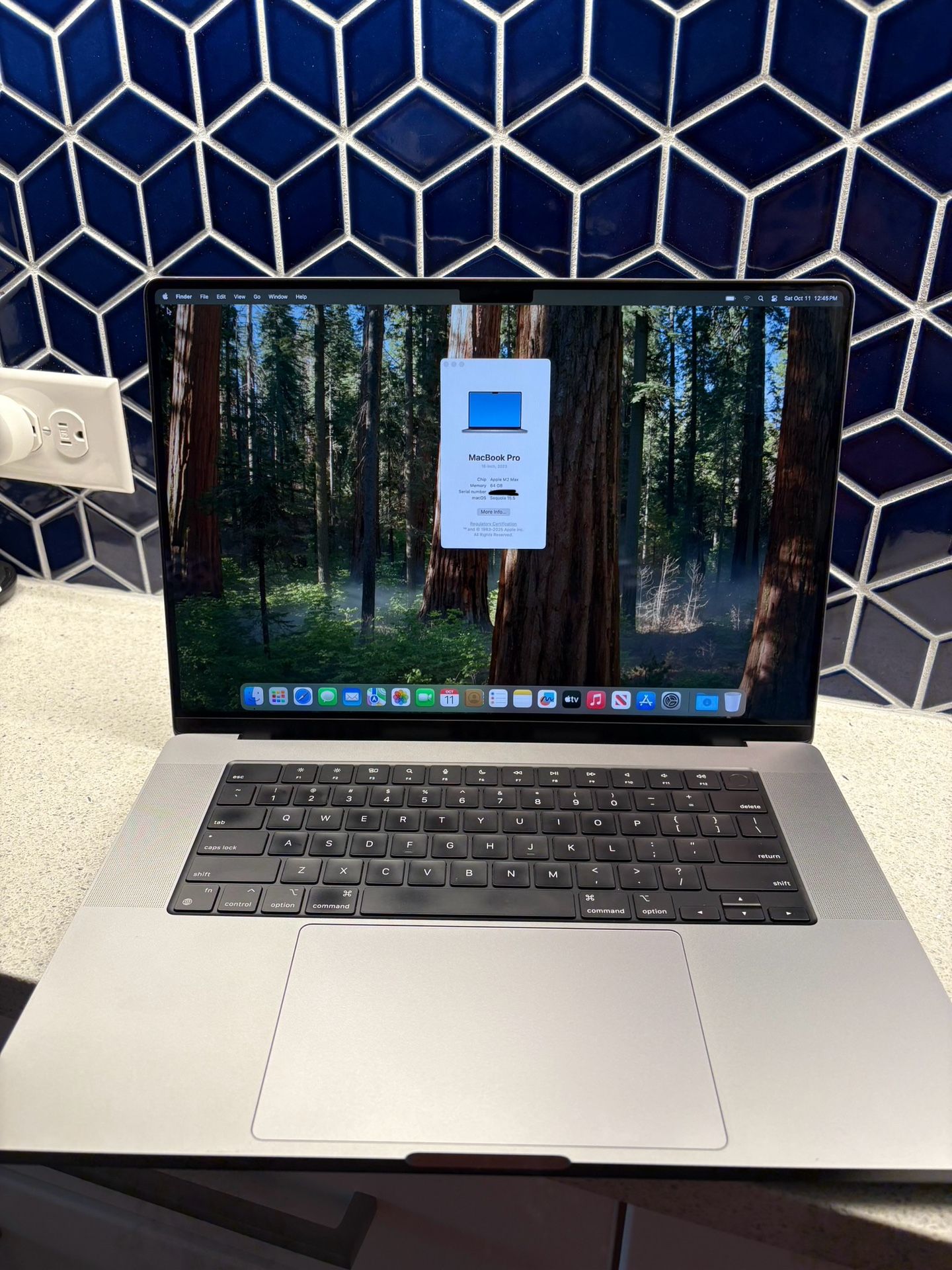 Apple MacBook Pro M2 Max 64Rams 1000GB 100% battery health