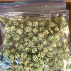 Hops For Brewing 