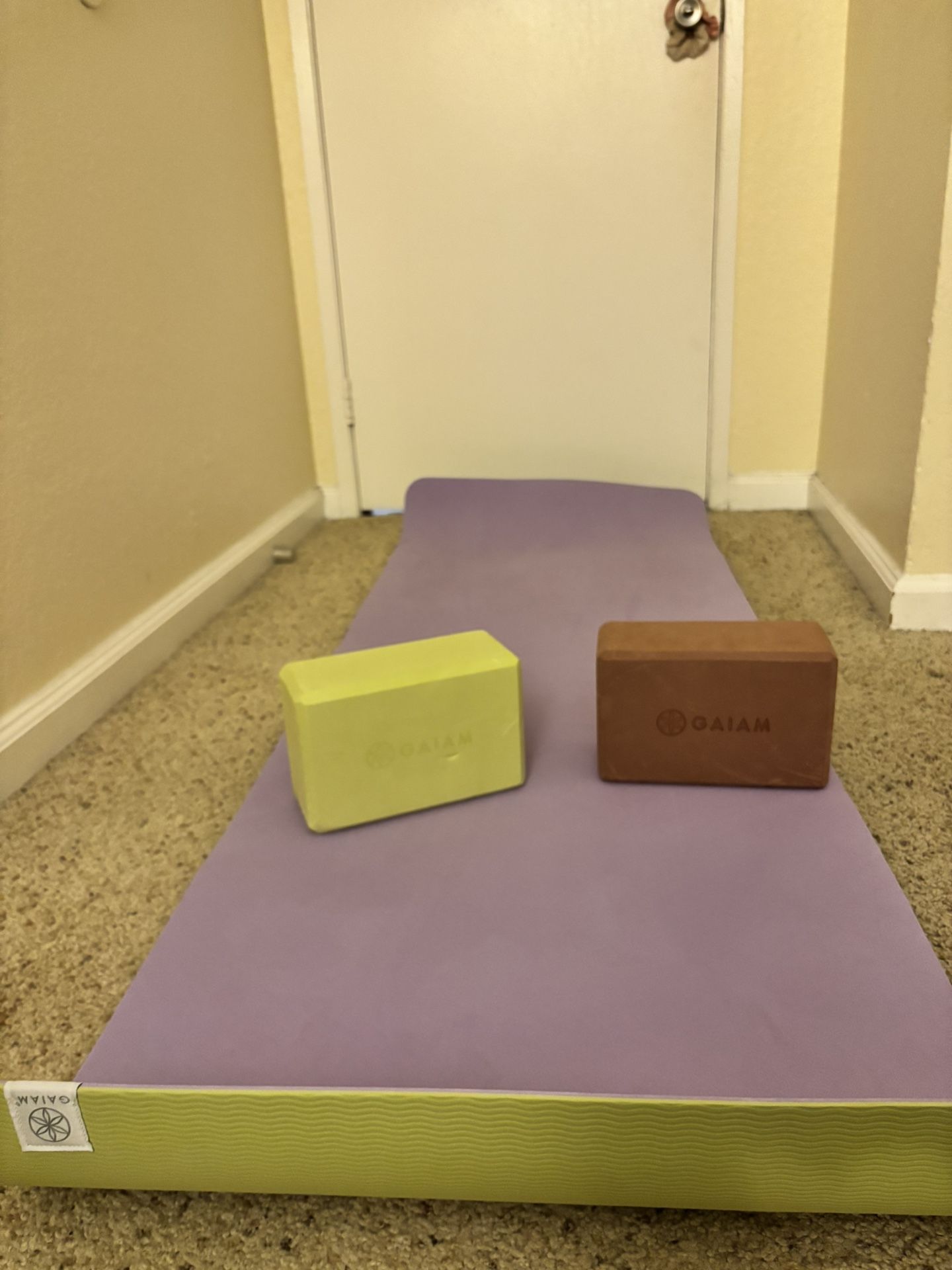 Yoga Mat + Yoga Blocks