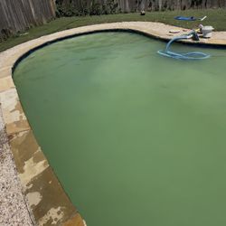 Pool Green One Time Clean Free Estimate 