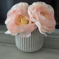 Two Plants -greenery and roses in pots (together One Price)