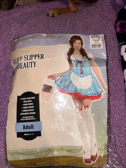 Halloween costume Dorothy