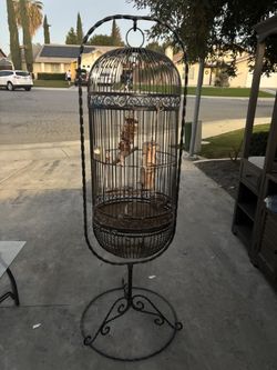 Antique Iron Bird Cage