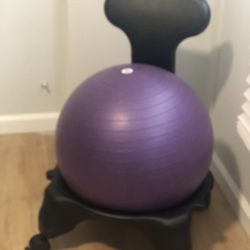 Balance Ball Chair