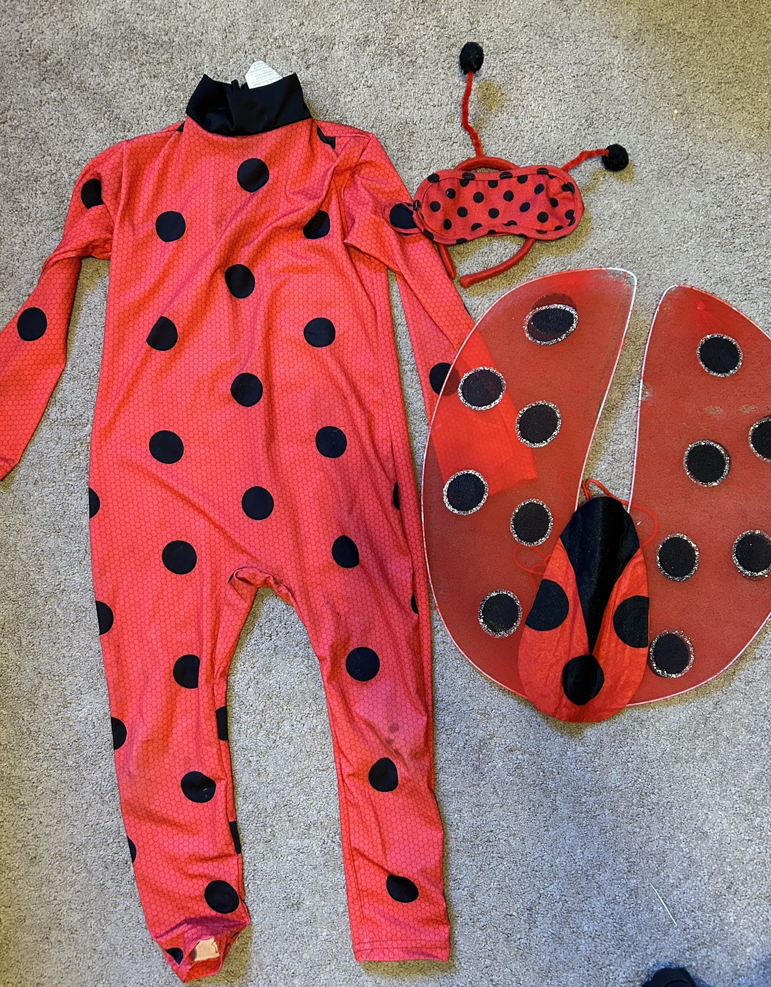 Ladybug Costume 