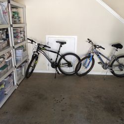 2 Bikes + Car Rack