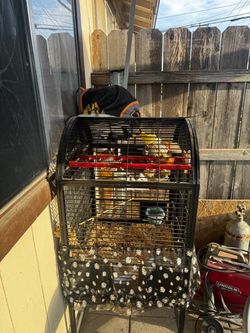 Large Black Bird Cage with wheels. Pájaros