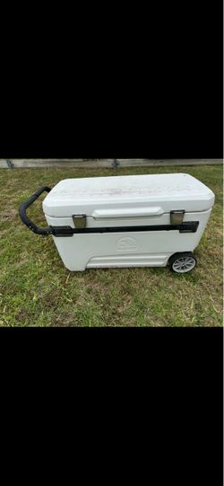 Igloo cooler 110qt