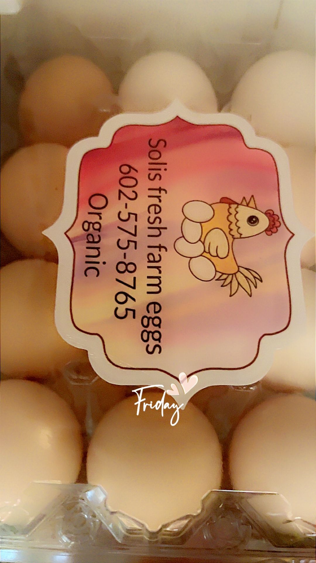 Fresh Cage Free Eggs