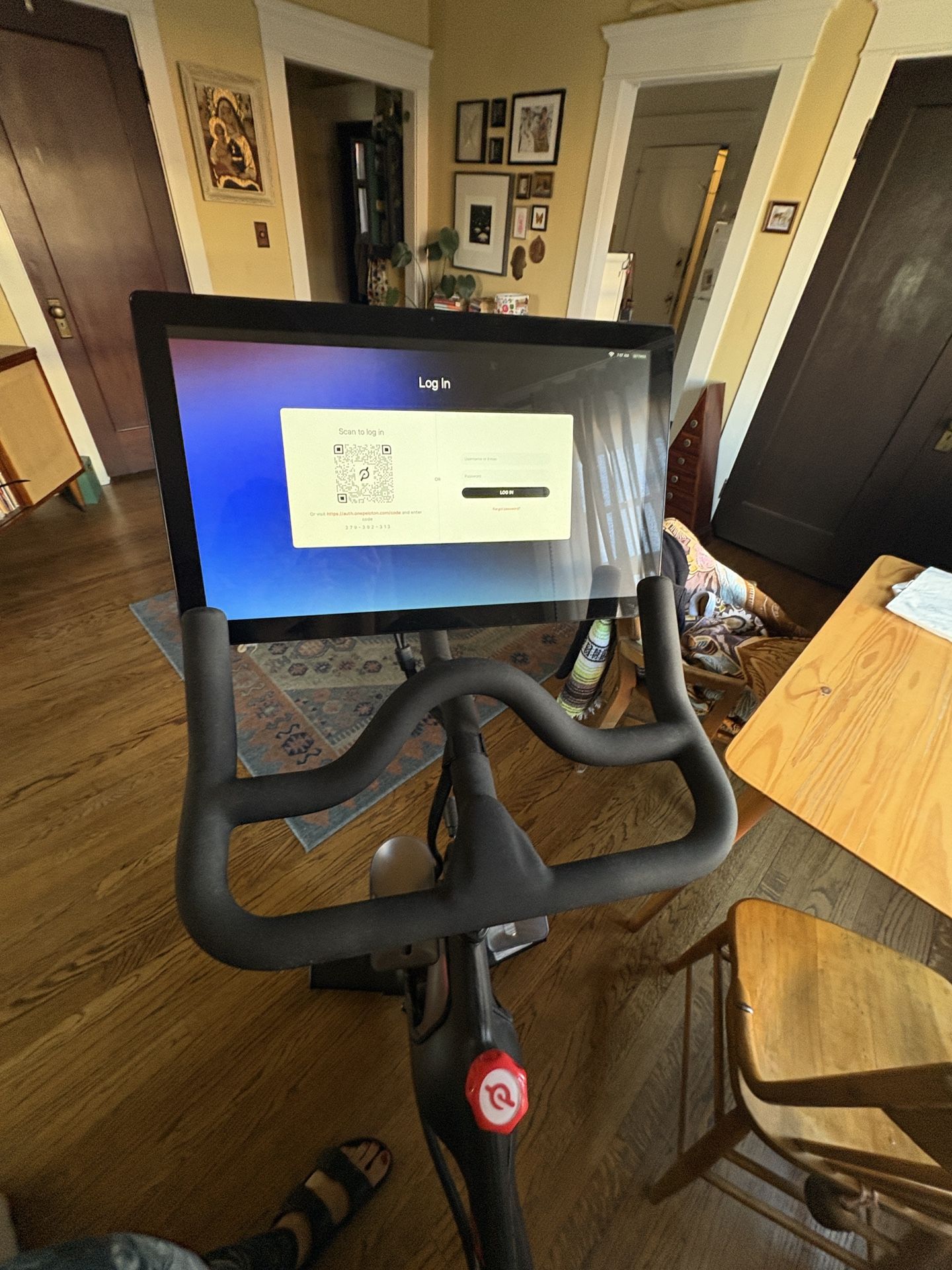 Peloton-500 OBO