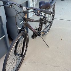 Trek Woman’s 7.2 Fx Bike