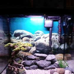 25 Gallon Aquarium