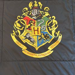 Harry Potter Queen Comforter