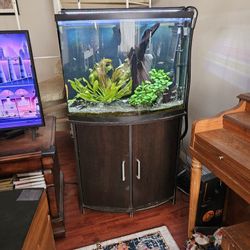 36 Gallon Bow Front Aquarium
