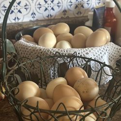 Huevos Frescos
