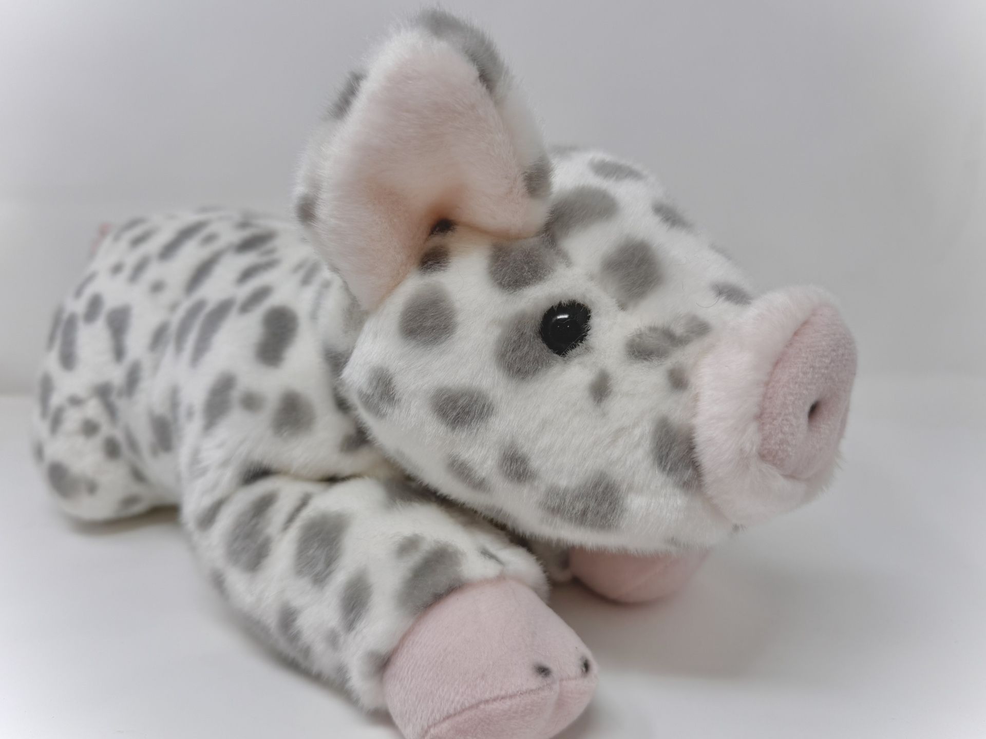 Pig Plushy