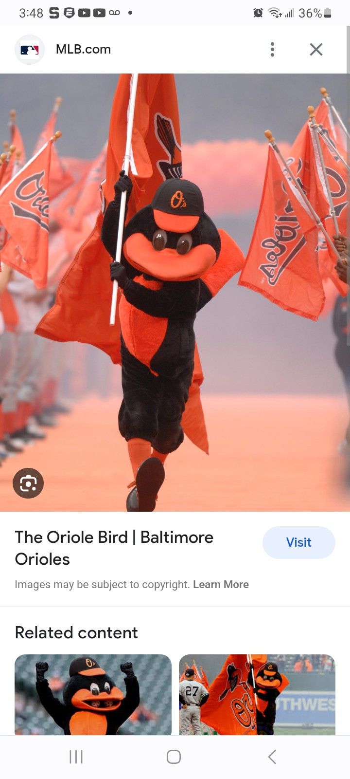 Orioles Tickets Tonight