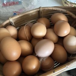 Farm Fresh Eggs 