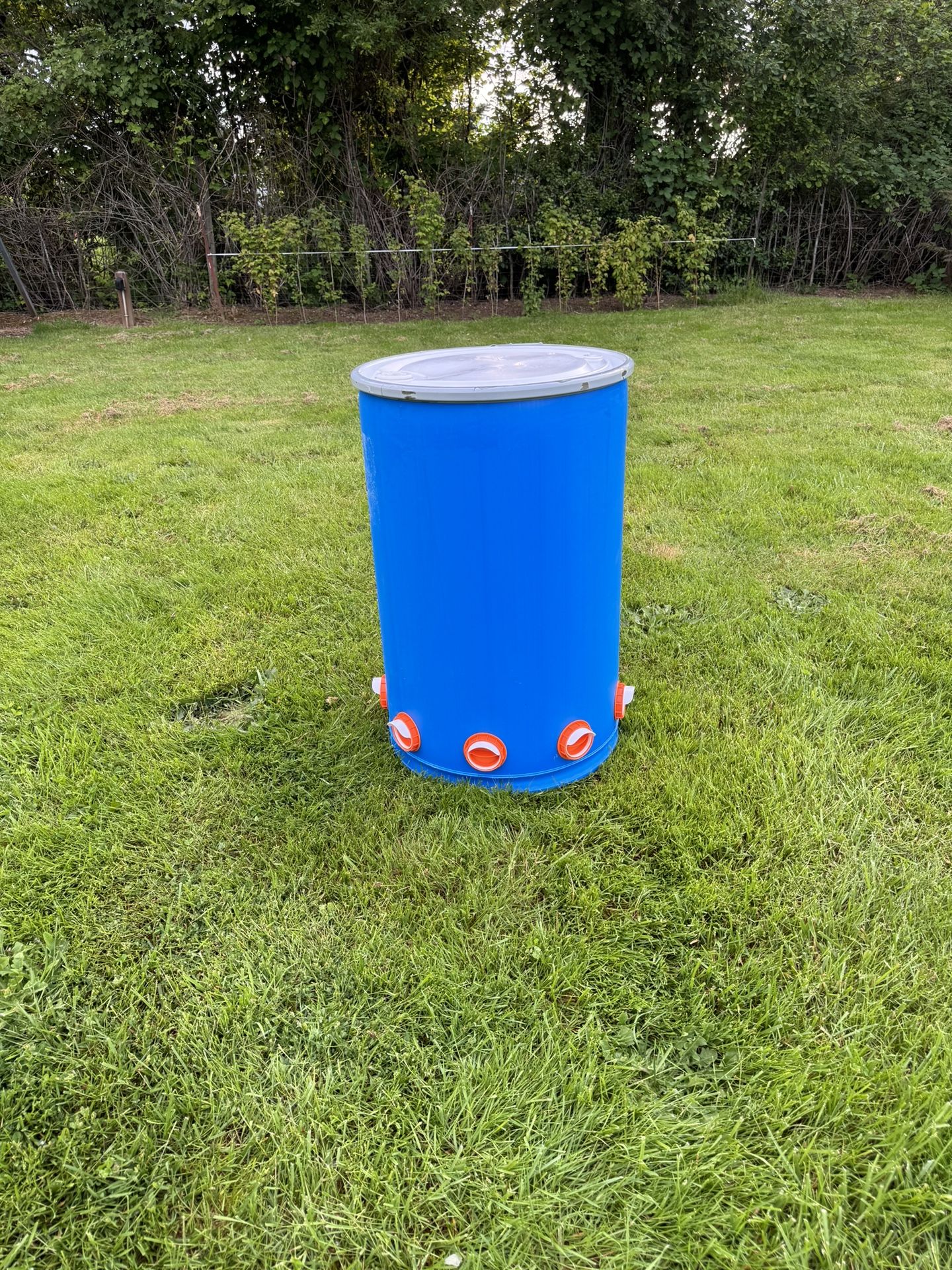 Chicken Feeder