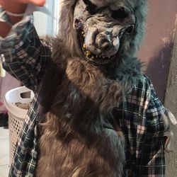 Wolf