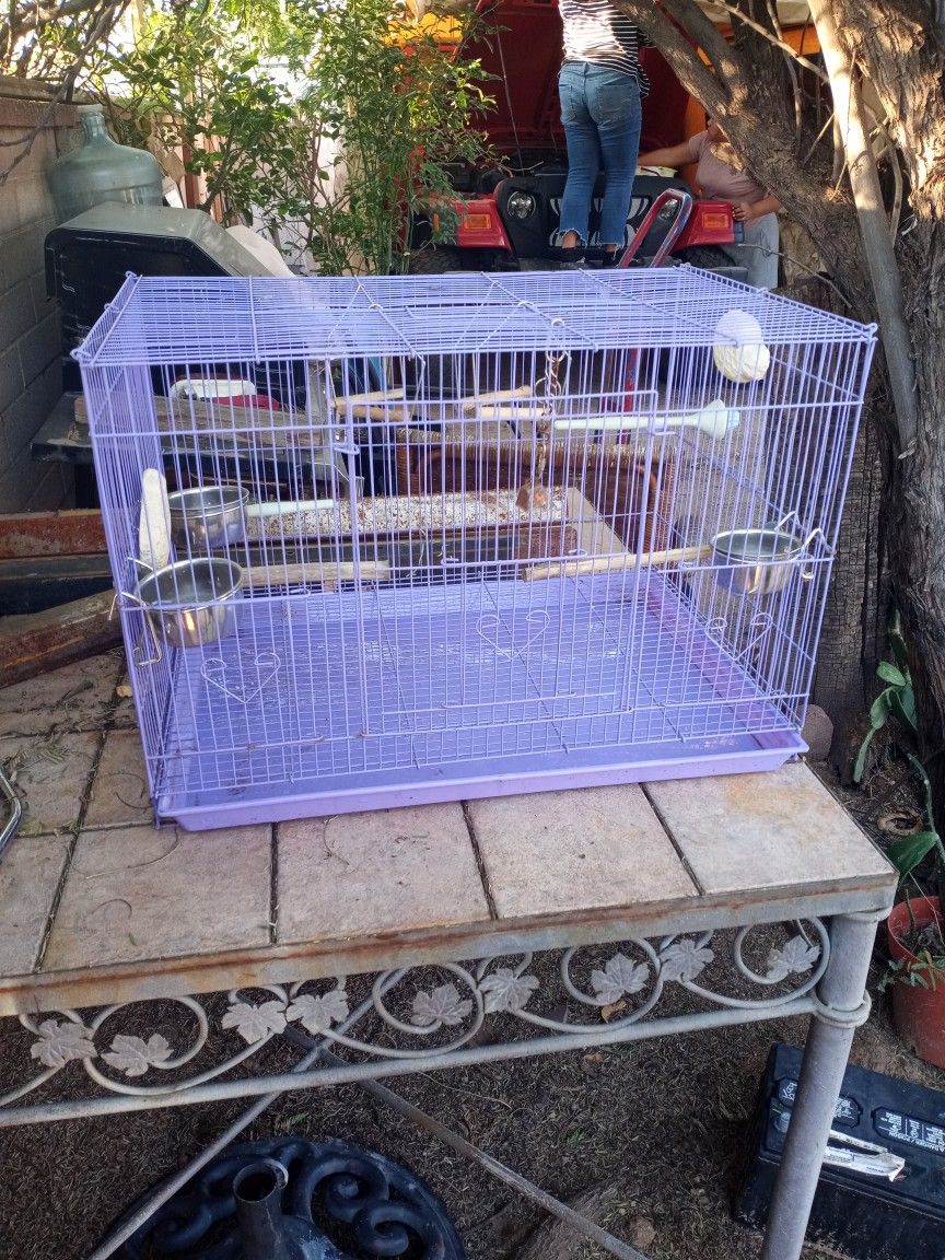 Bird Cage