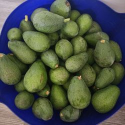 Avocados 🥑