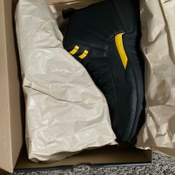 Air Jordan 12 Retro 