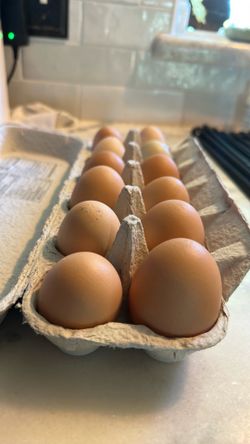 Eggs farm fresh Rosedale